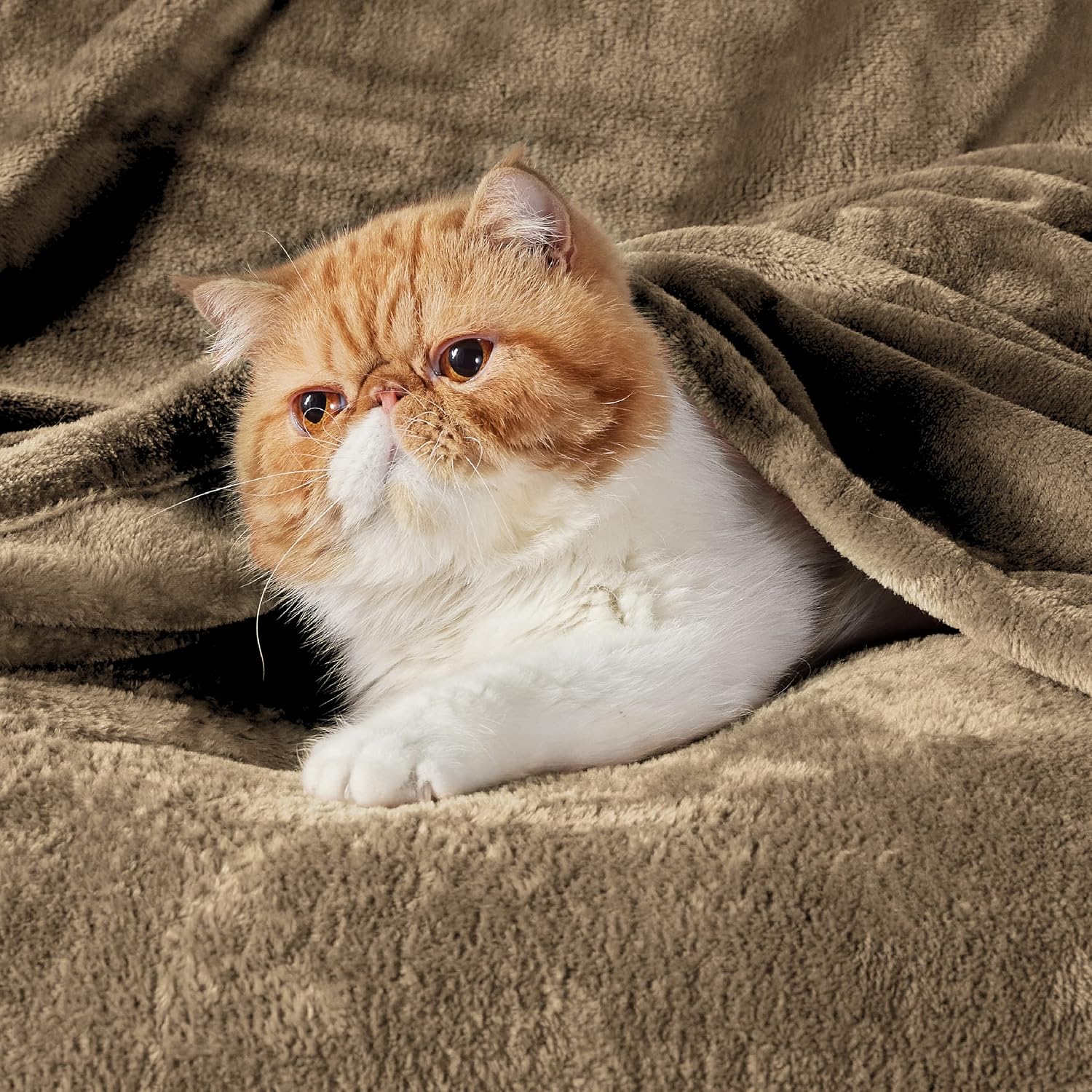 Detalle de Bedsure Camel Fleece Throw Blanket, 50 x 60 in, Lightweight and Soft