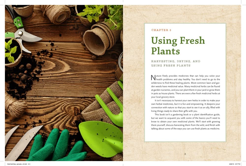 Detalle 2 de The Modern Herbal Dispensatory: A Medicine-Making Guide – geïllustreerd boek, 376 pagina’s