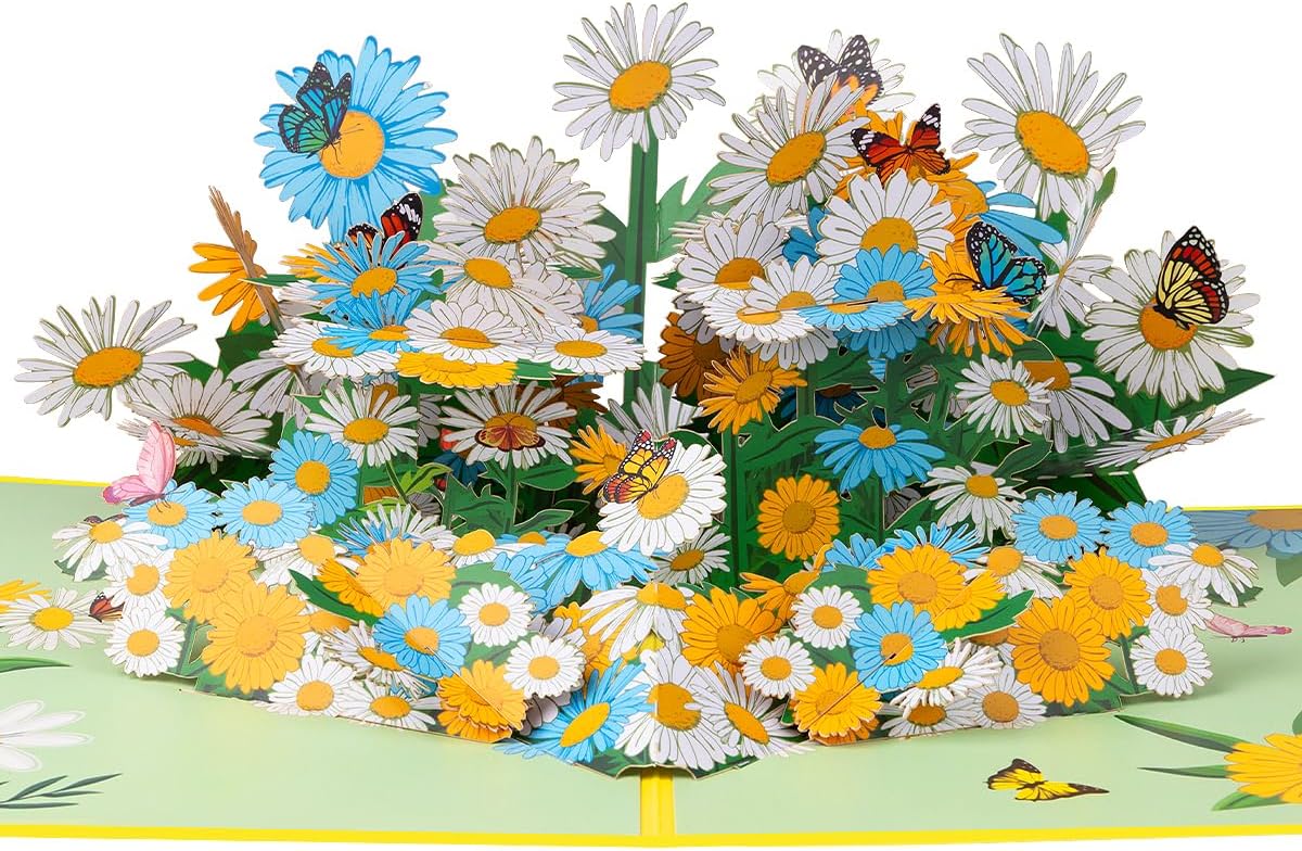 CNLITIHEKA Gänseblümchen Pop-Up-Karte 8 x 6 Zoll