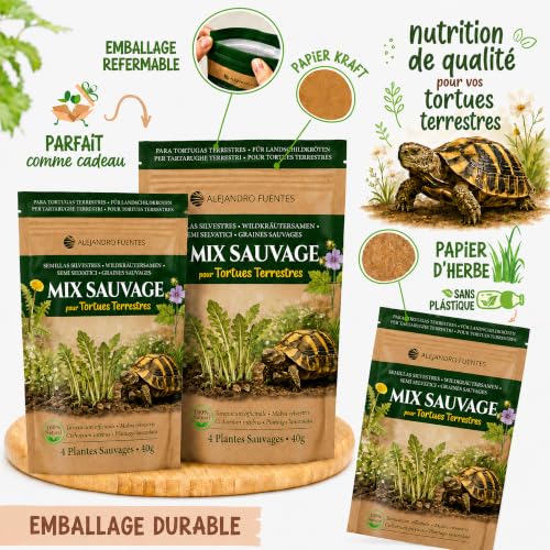 Detalle de AF® - Graine Tortue Terrestre à Semer, Mélange 4 Plantes Sauvages pour Testudo Hermann en Enclos | 40g