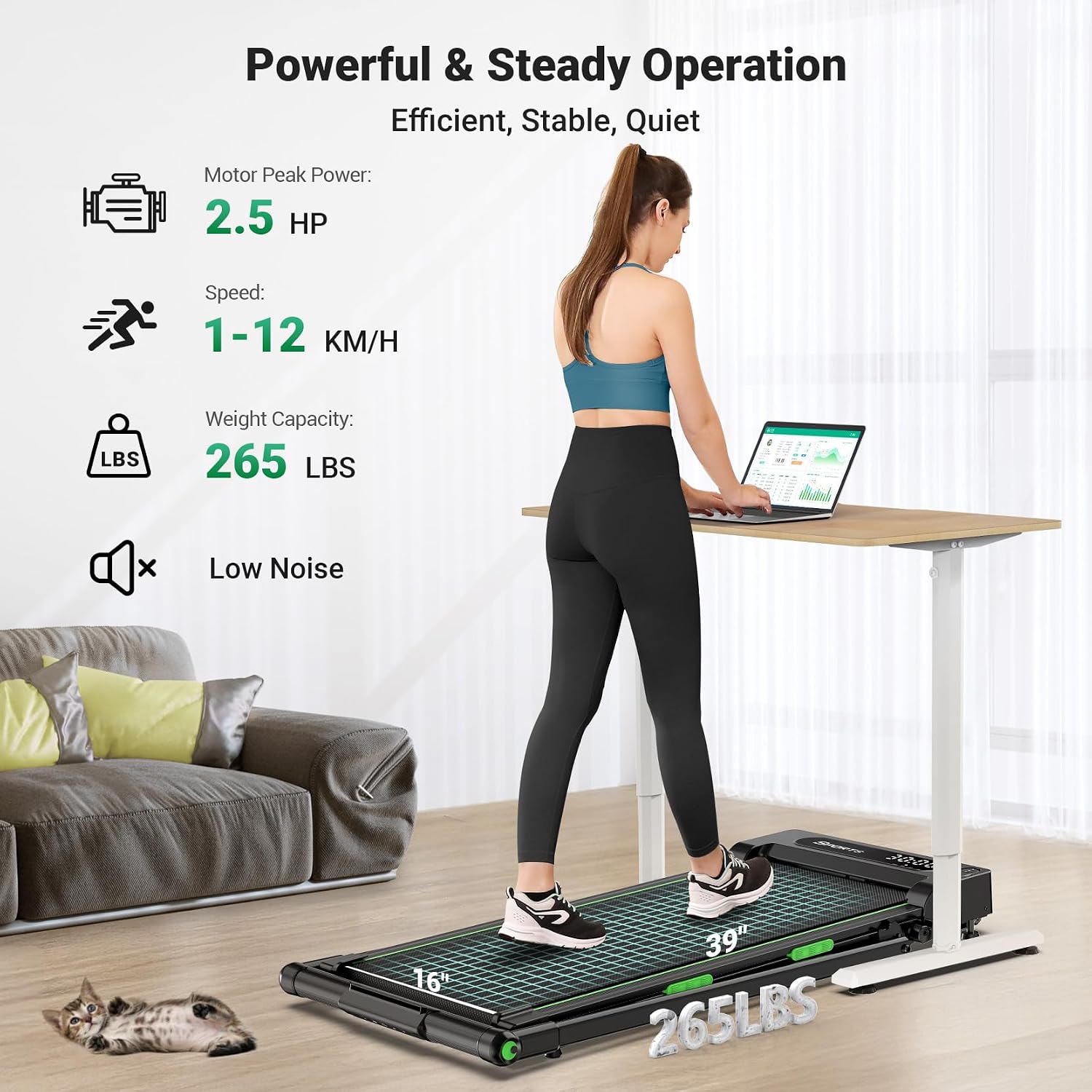 Detalle 2 de THERUN folding treadmill 2.5HP walking pad
