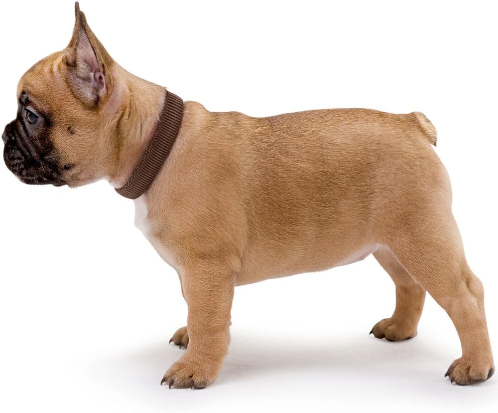 Detalle de HUNTER VARIO PLUS Hundehalsband – robustes Nylonhalsband mit Zugentlastung, Klickverschluss, Größe M‑L/2,5, schwarz