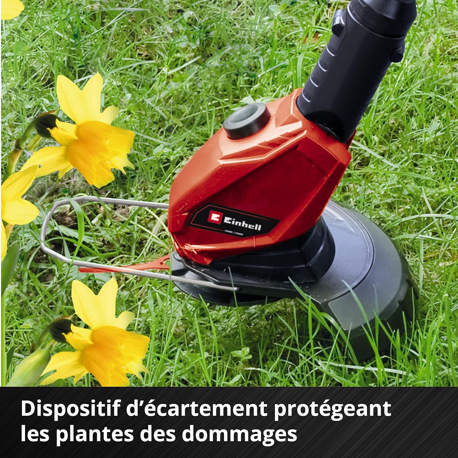 Detalle 2 de Einhell GE-CT 18 Li : coupe-bordures sans fil Power X-Change avec manche télescopique