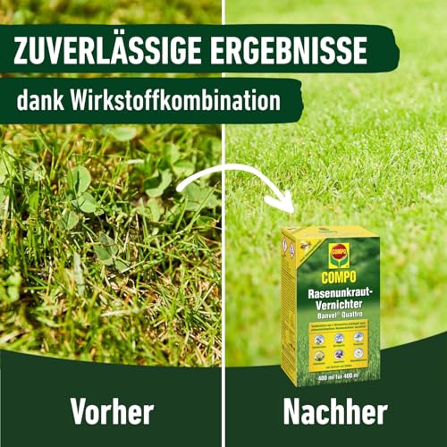Detalle de COMPO Rasenunkraut-Vernichter Banvel Quattro – Konzentrat 400 ml (400 m²)