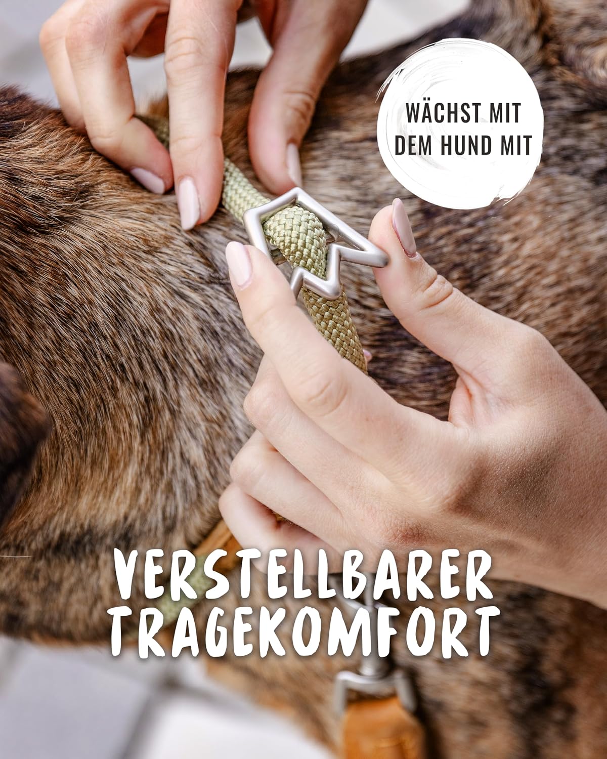 Detalle 2 de Rudelkönig Emma Zugstop Halsband Khaki Ø12mm