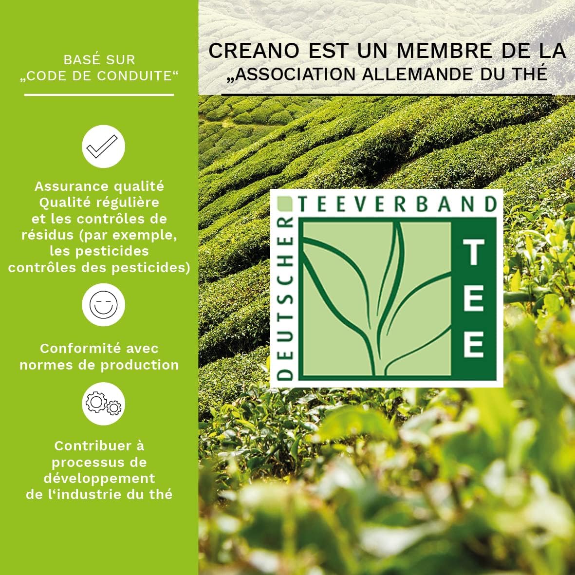 Thumbnail 3 de Creano Coffret Teelini 8 pcs – Fleurs de Thé Vert en Portion de Tasse, 4 Saveurs Fruitées
