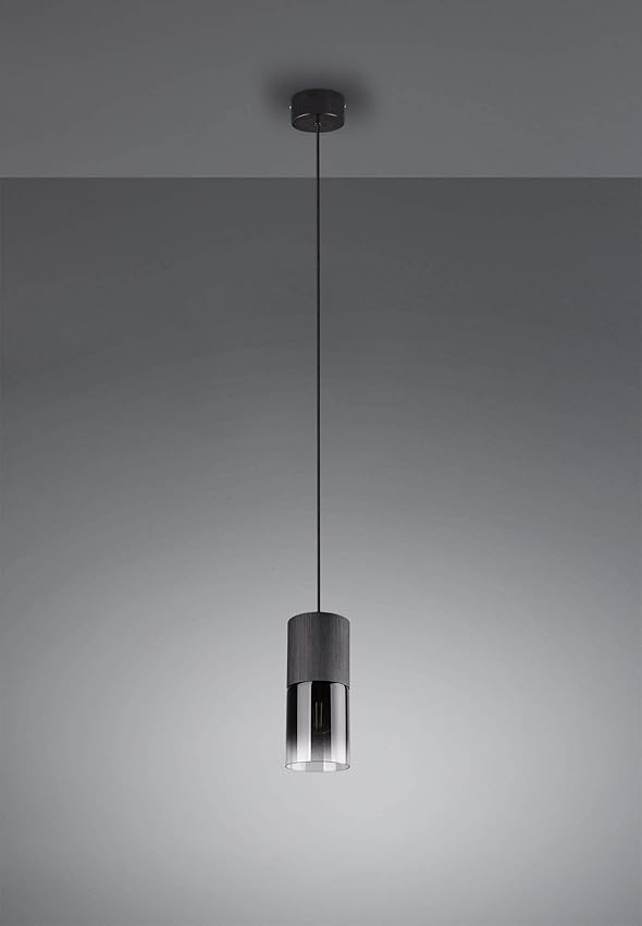 Detalle de Trio Lighting 310600132 Robin lámpara techo colgante 1xE27 🛋