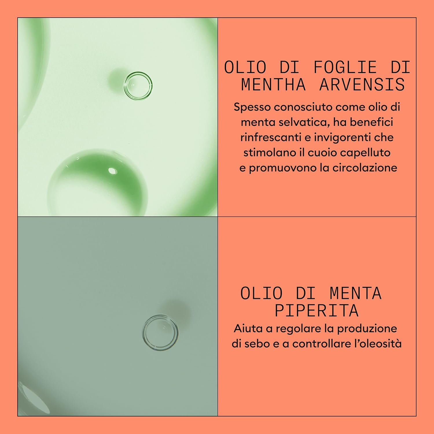 Thumbnail 5 de NIOXIN Scalp + Hair Thickening System 4 per Capelli Colorati/Secchi con Assottigliamento Avanzato (Shampoo, Balsamo, Trattamento)