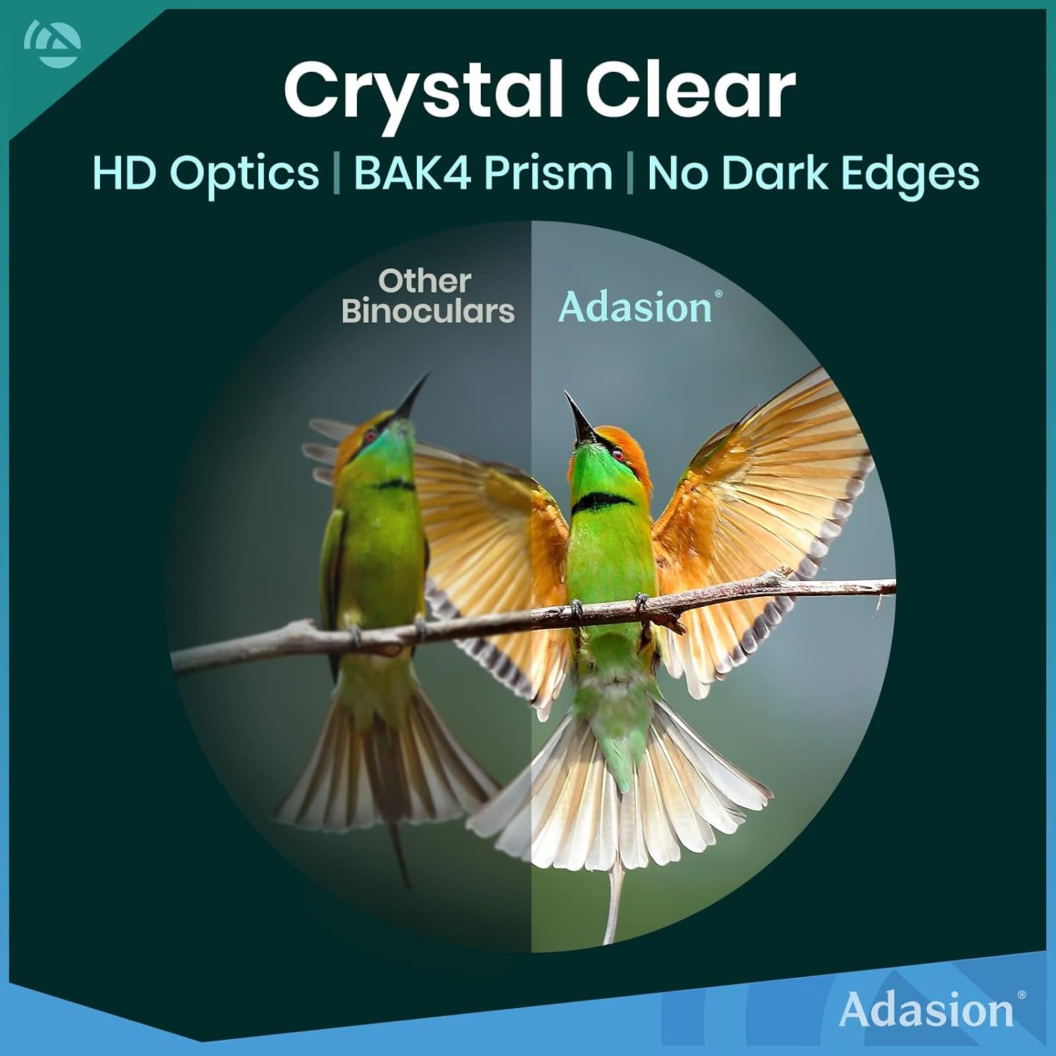Thumbnail 1 de Adasion 12x42 HD Binoculars: Long-Range, Light & Weather-Ready with Phone Adapter