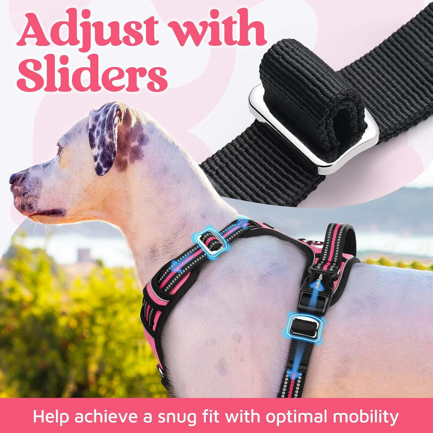 Detalle 1 de rabbitgoo Dog Harness, Large