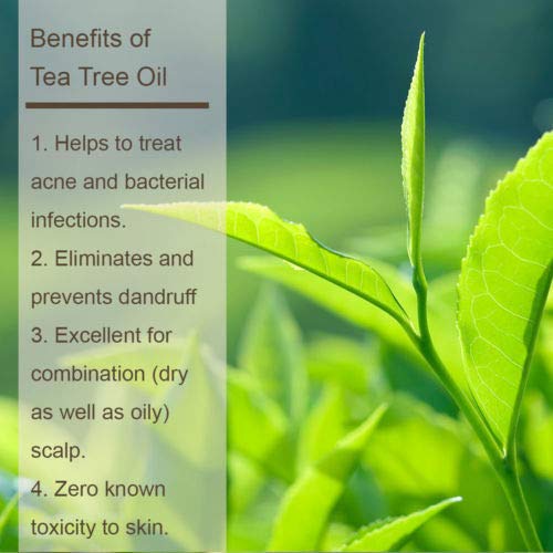 Detalle 1 de Luseta Tea Tree Oil Shampoo and Conditioner Set, 2 x 33.8 oz, Sulfate-Free