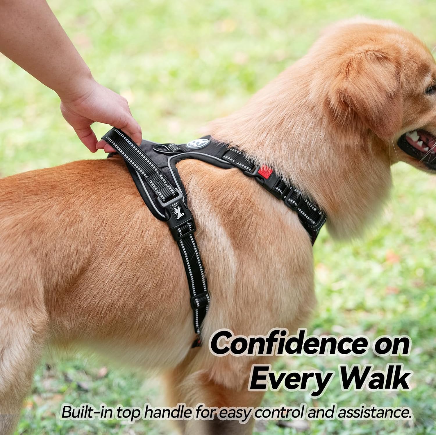 Thumbnail 6 de PoyPet No Pull Dog Harness 2-clip, Large