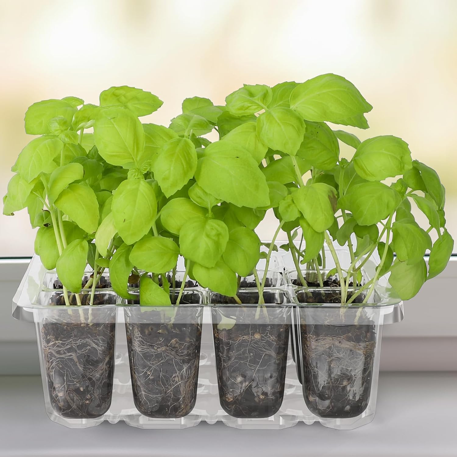 Thumbnail 6 de MIXC Seed Starter Tray, 120-Cell