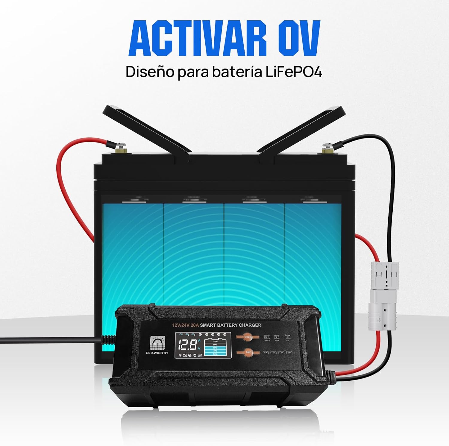 Thumbnail 3 de ECO-WORTHY Cargador LiFePO4 12V/24V 20A