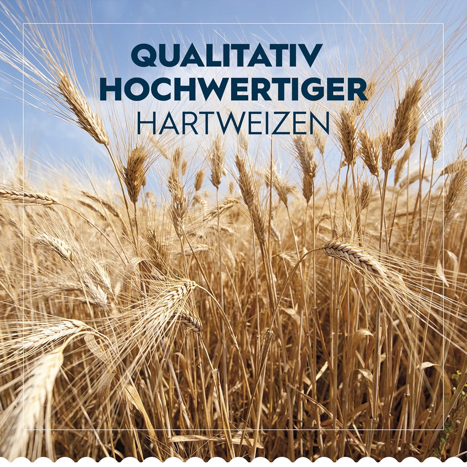 Detalle de Barilla Penne Rigate n.73 – hochwertiger Hartweizen, al dente in ca. 11 Minuten