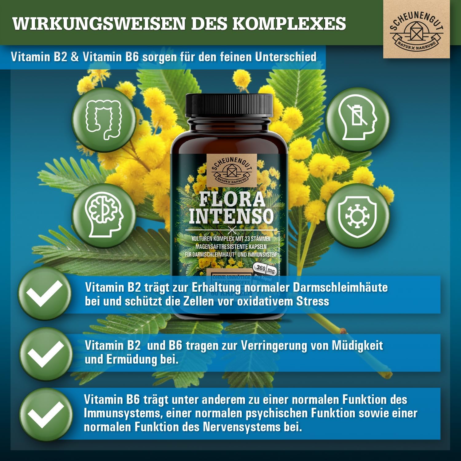 Thumbnail 2 de DE SCHEUNENGUT Probiotika 10 Mrd KBE