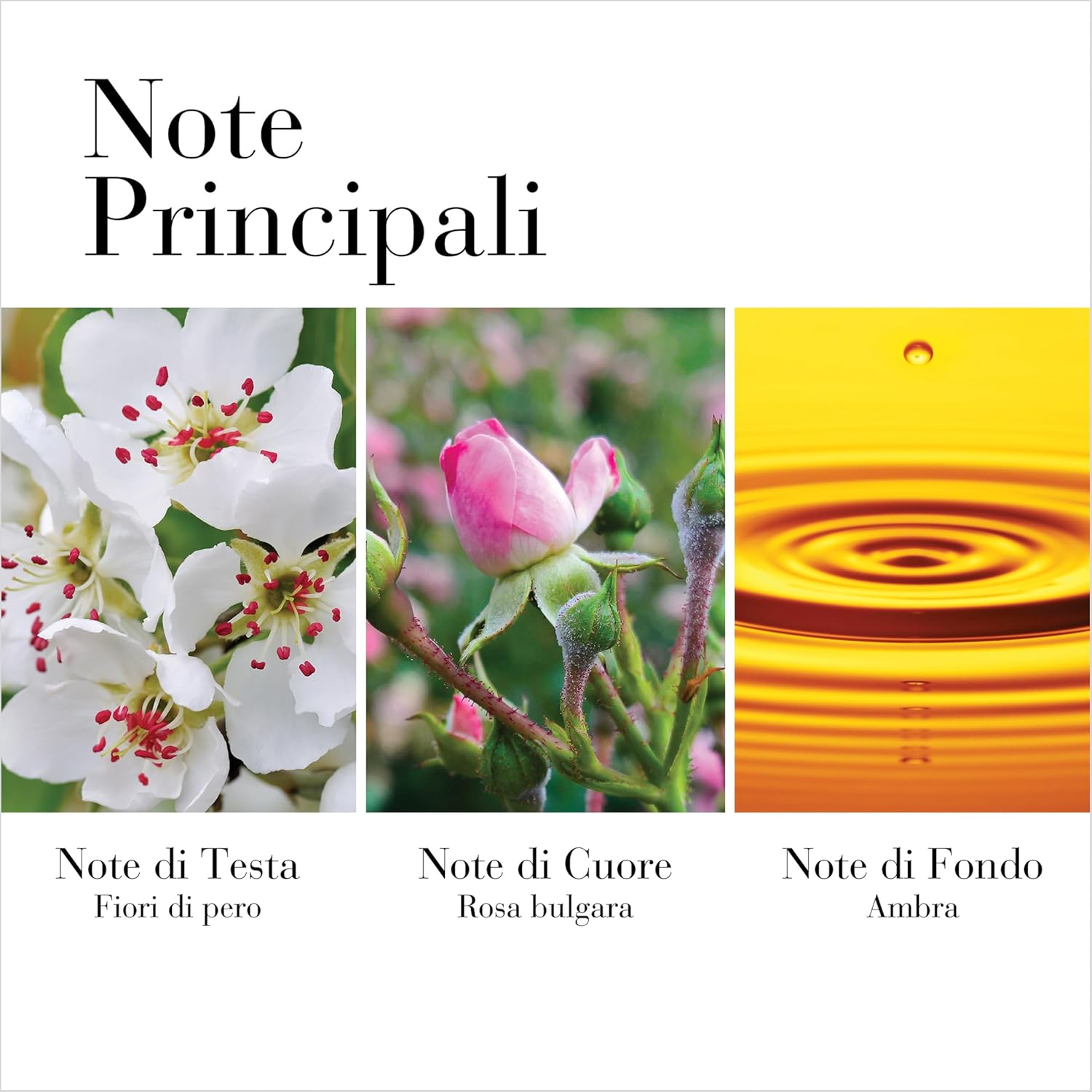 Thumbnail 1 de Elizabeth Arden White Tea – Crema corpo al Tè Bianco profumata, idratante e nutriente da 400 ml