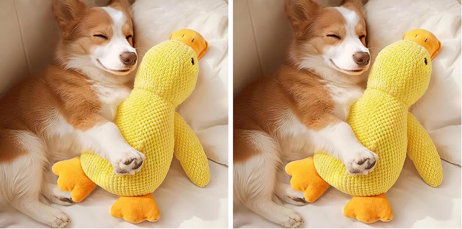 Thumbnail 6 de Speedy Panther Plüsch-Hundespielzeug „Quietschende Ente“ (35 cm) – für große Hunde