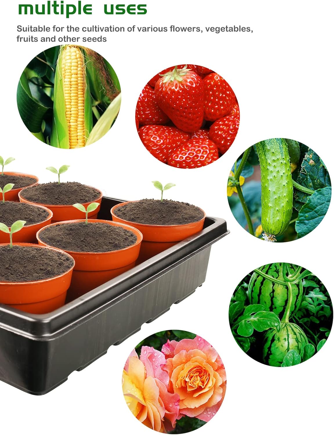 Thumbnail 2 de FUCNEN Plateaux de Semis 39x29x6,5 cm