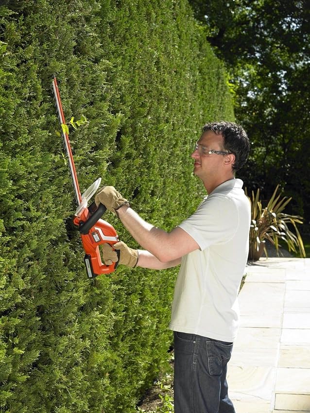 BLACK+DECKER GTC1845L20 cortasetos 18V, espada 45 cm ✂