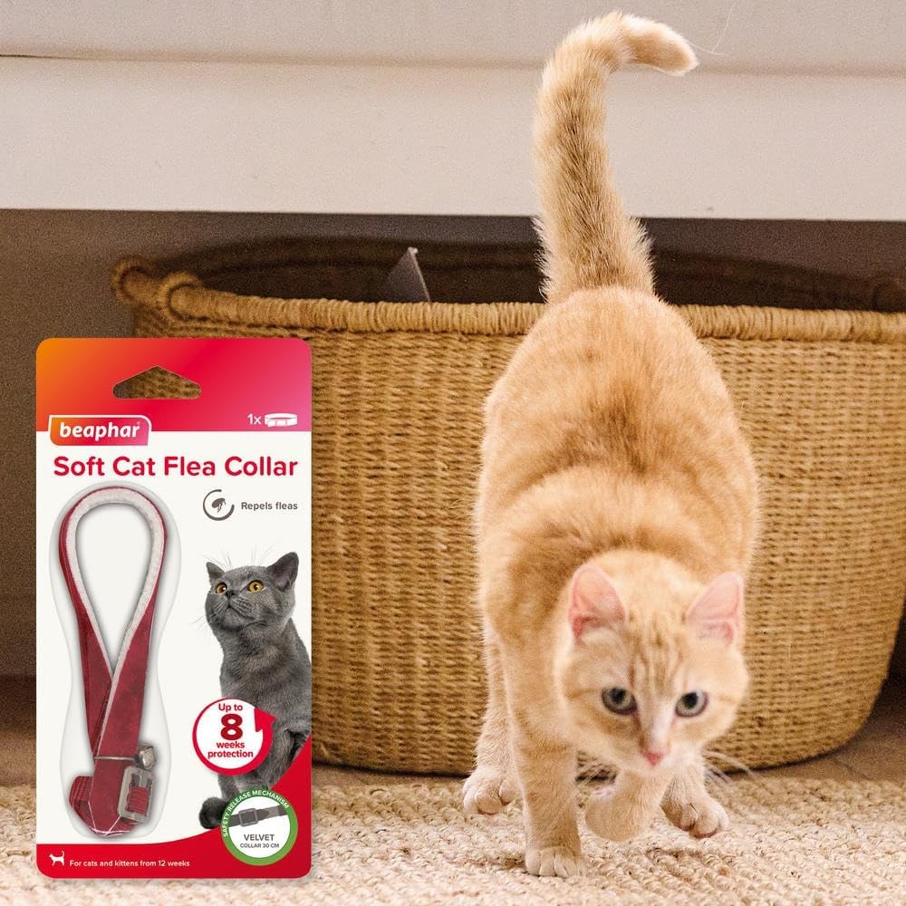 Detalle 2 de Beaphar Soft Flea Collar for Cats – 8 Weeks Flea Repellent, Adjustable Velvet Collar