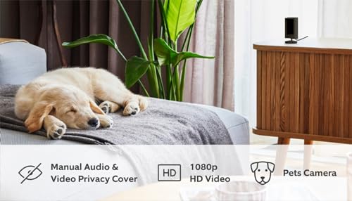 Thumbnail 7 de Ring Indoor Camera (2nd Gen) | Plug-In Pet Security Camera