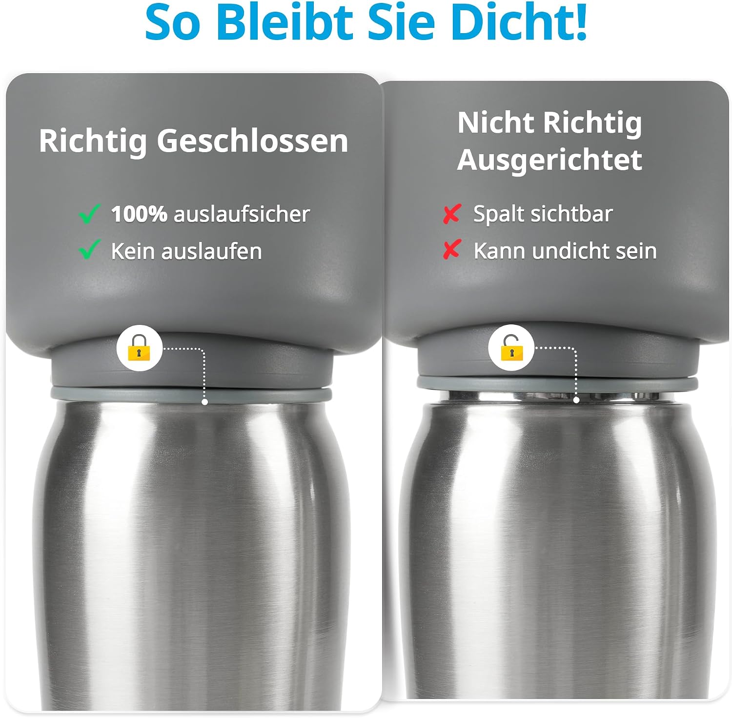Detalle de Petace Hundetrinkflasche für unterwegs, 750 ml – Edelstahl, auslaufsicher