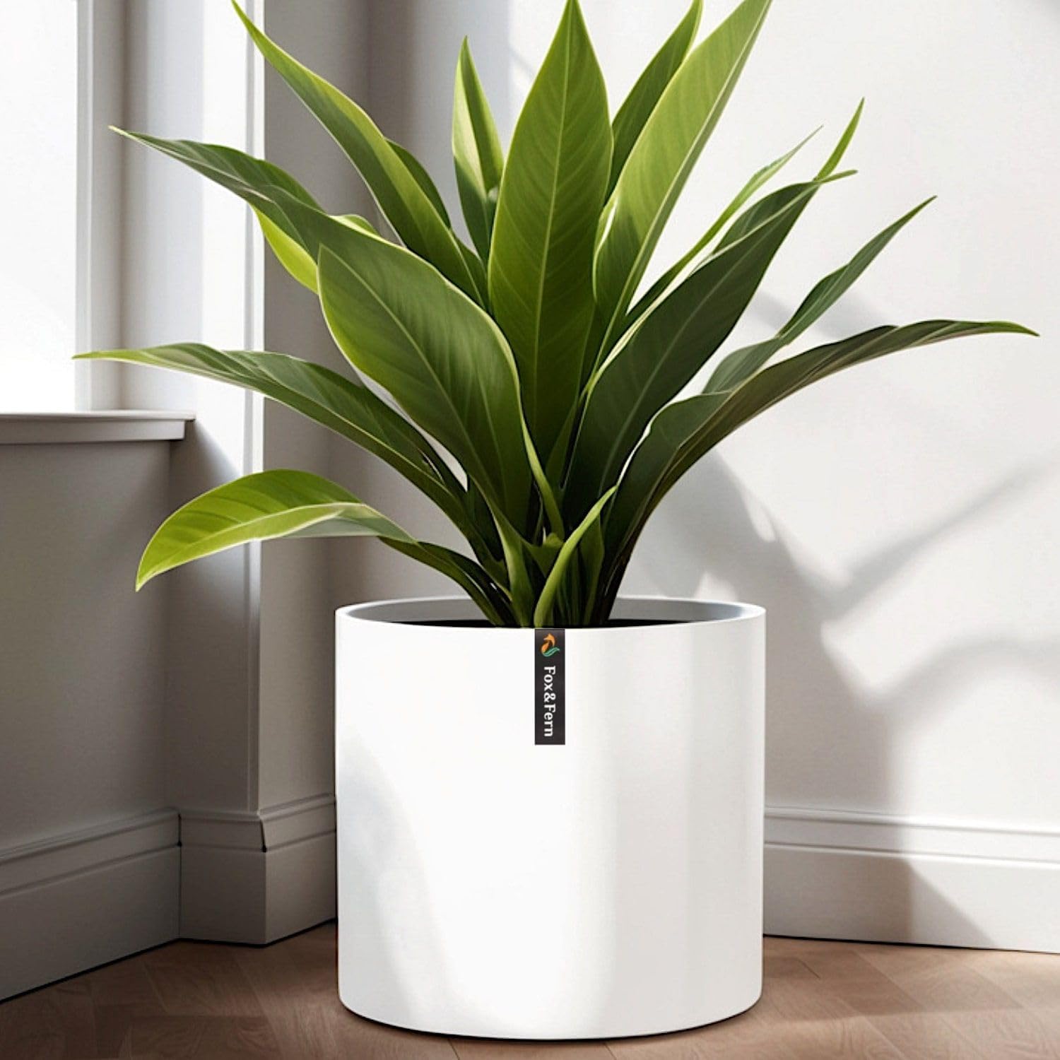 Detalle de Fox & Fern PP-LINE-MW-SMSET Plant Pot, Matt White with Drainage Plug