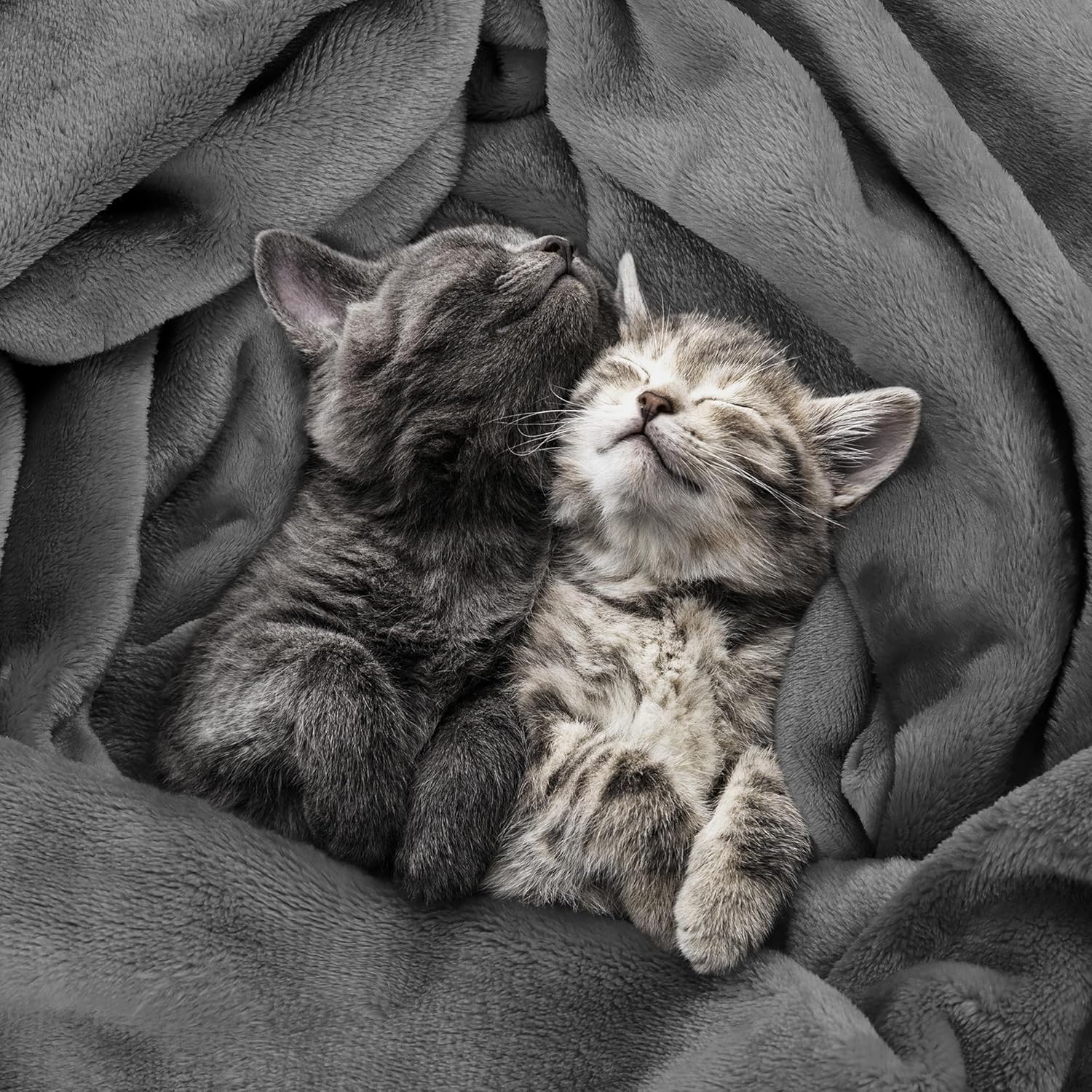 Thumbnail 3 de Utopia Bedding Kuscheldecke 200x150 Grau Flausch Fleecedecke