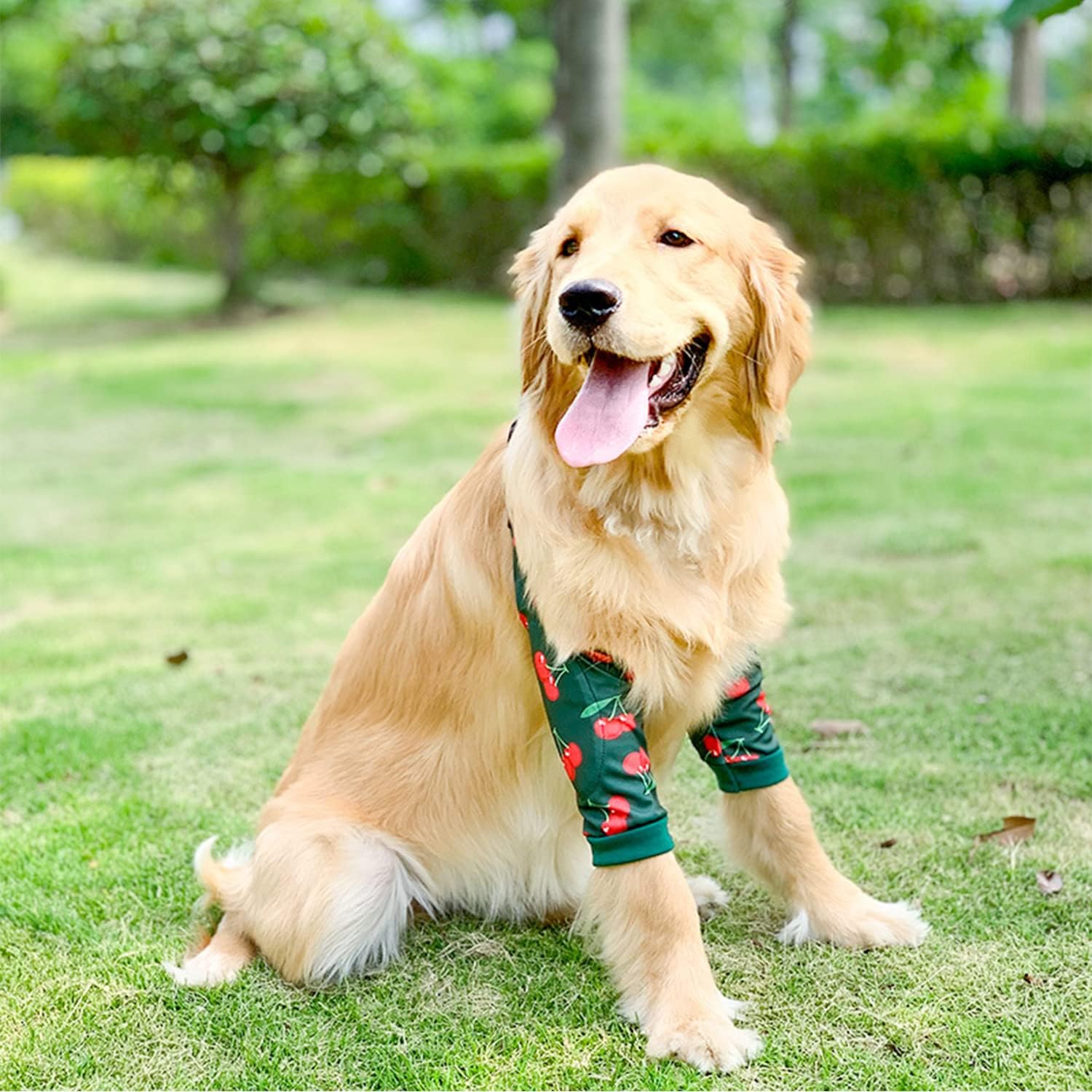Thumbnail 1 de Harikaji Dog Elbow Protector, Size M