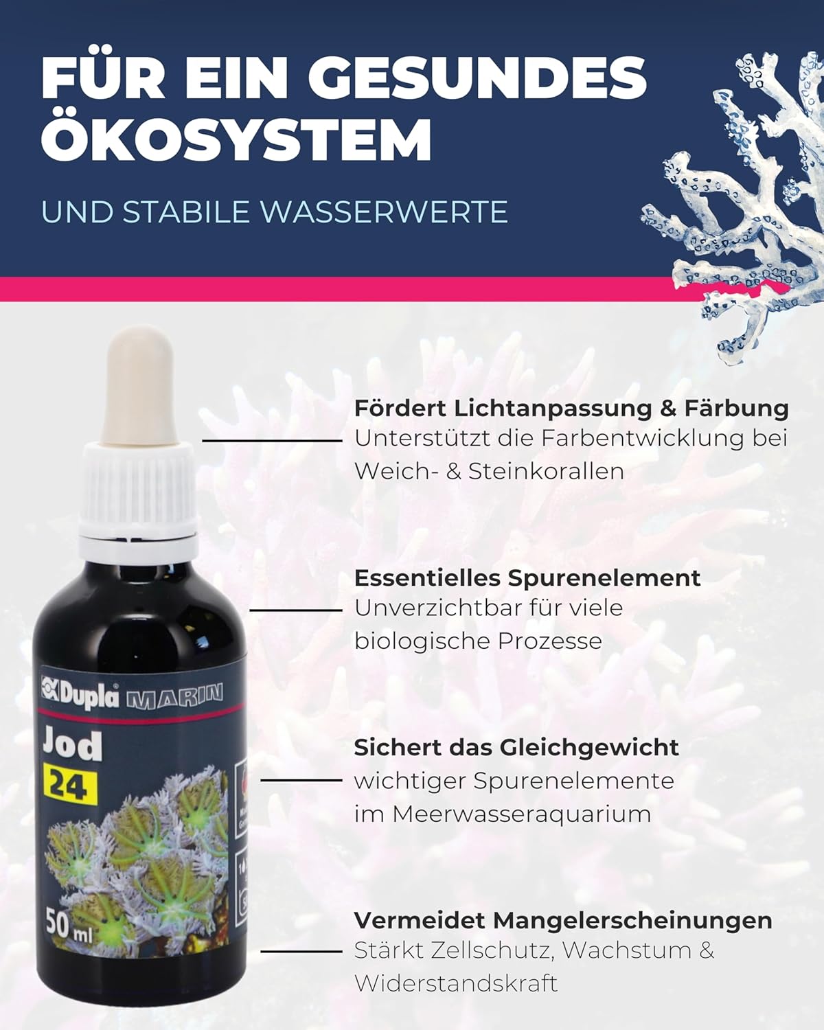 Thumbnail 3 de Dupla Marin Jod 24, 50 ml – essentielles Spurenelement für Meerwasseraquarien