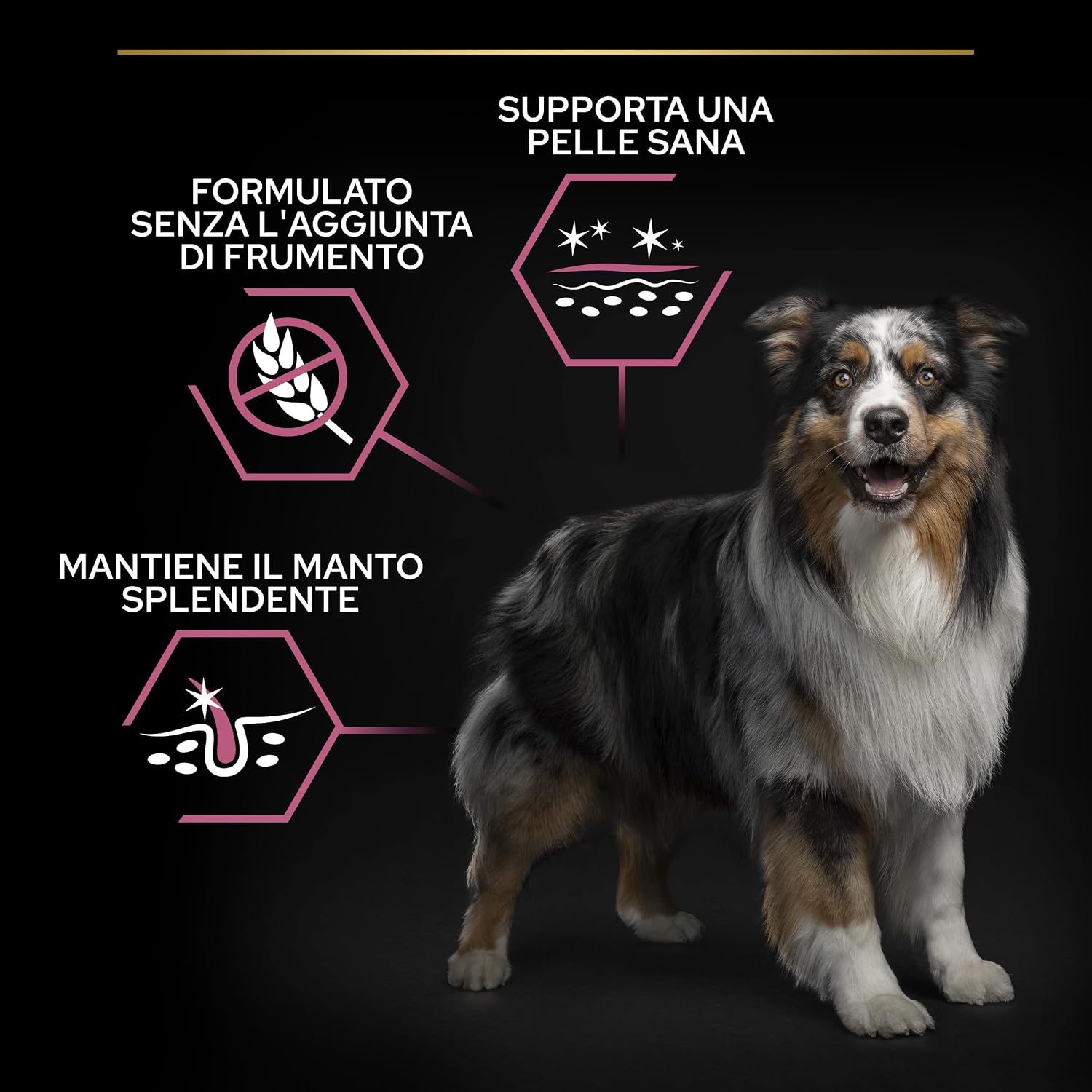 Detalle de Purina Pro Plan Optiderma Medium Adult Crocchette per Cane con Salmone 14kg