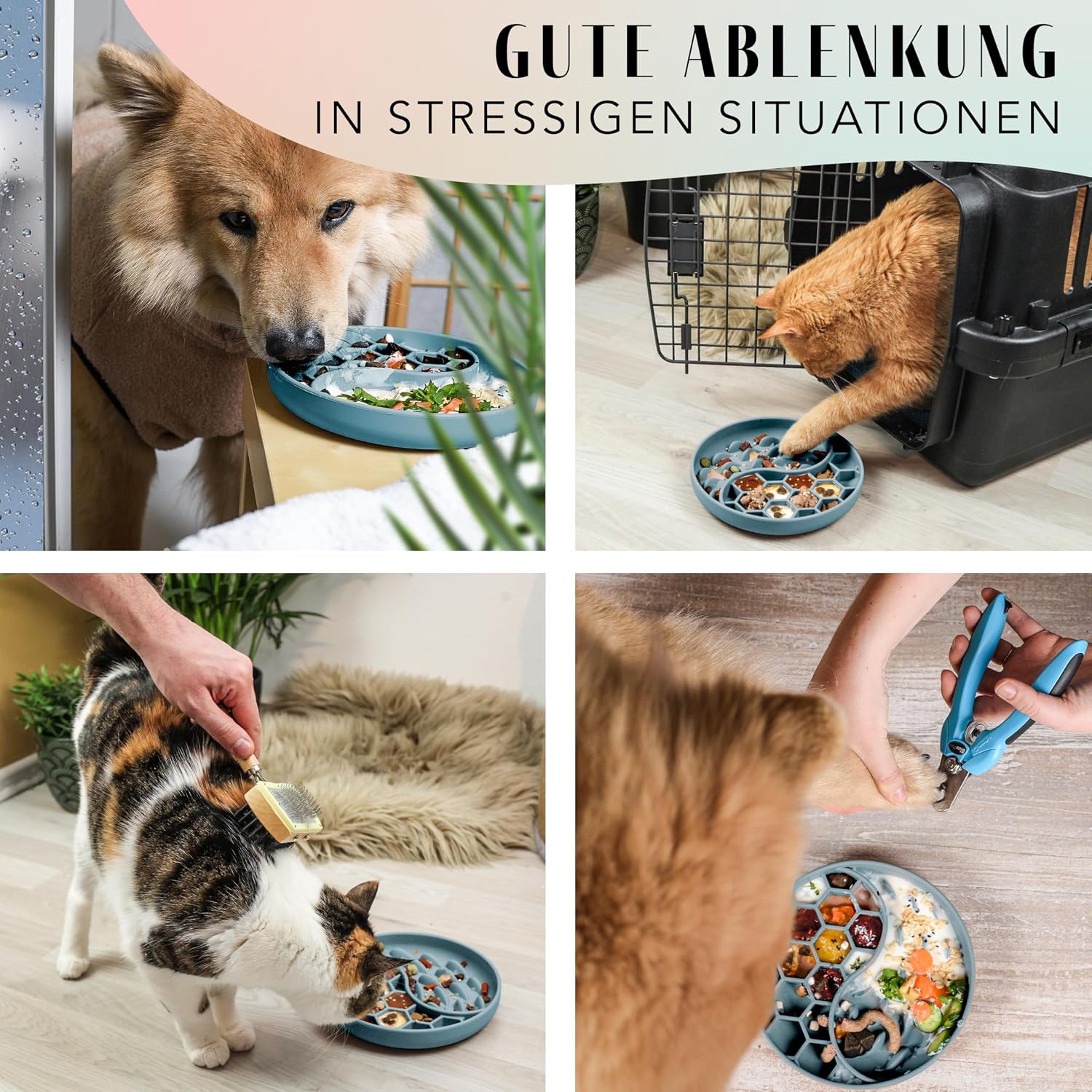 Detalle de ne&no® Anti Schling Napf Slow Feeder für Hunde