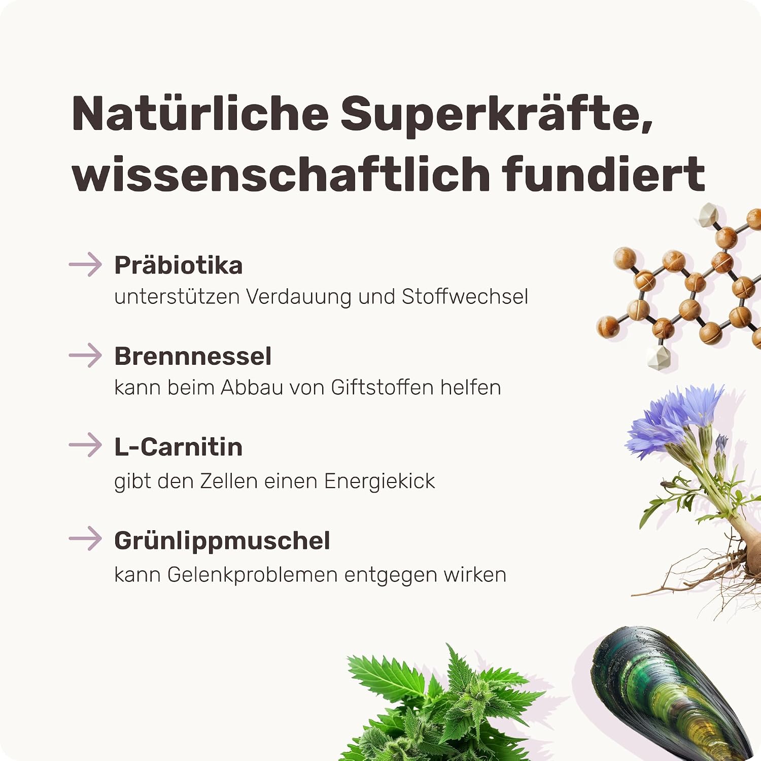 Thumbnail 4 de mammaly Forever Young 350 g Vitalsnacks