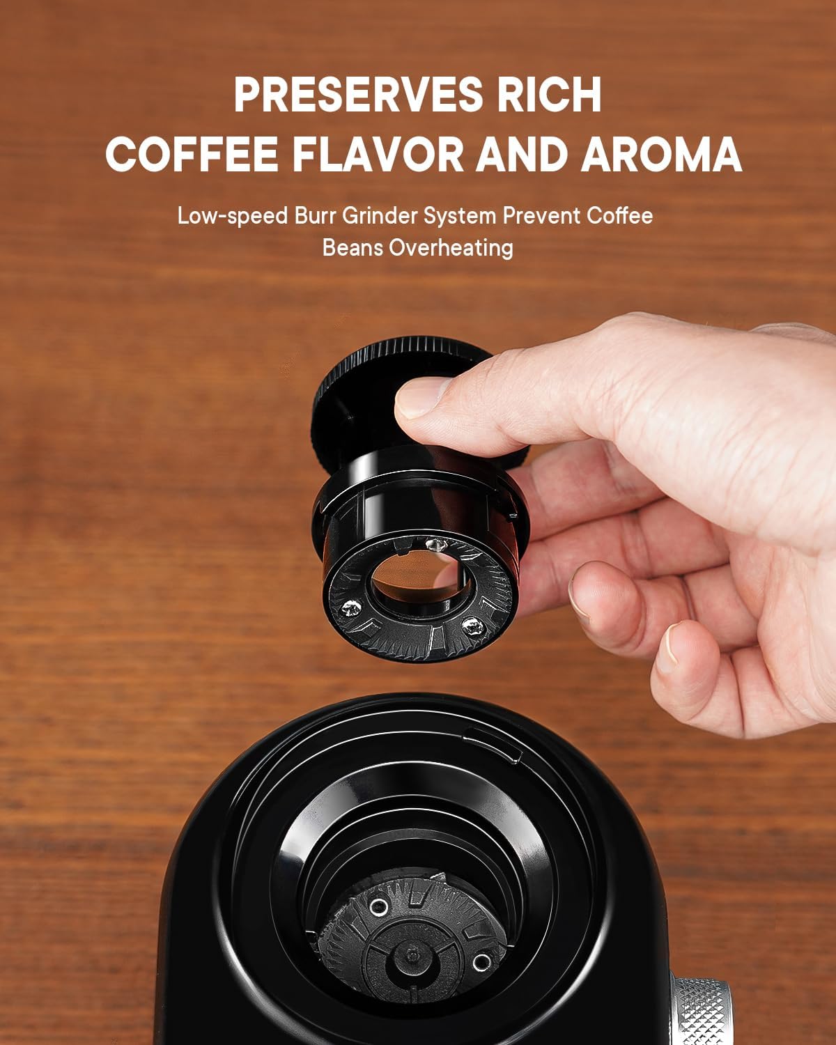 Detalle 2 de SHARDOR Electric Burr Grinder 14-Cup