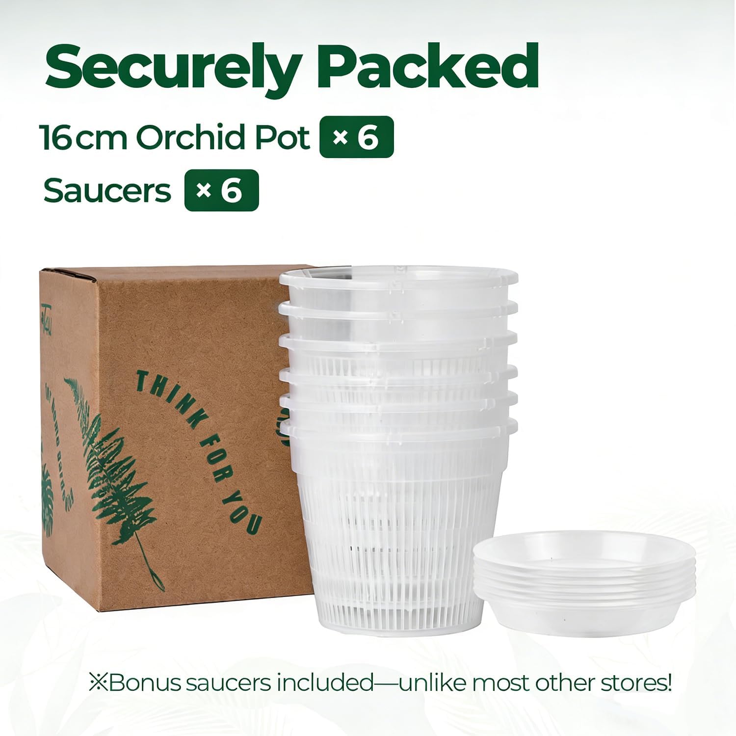 Thumbnail 6 de T4U Orchid Pot 6-Pack (16cm) with Holes and Matching Saucers for Indoor/Outdoor Repotting
