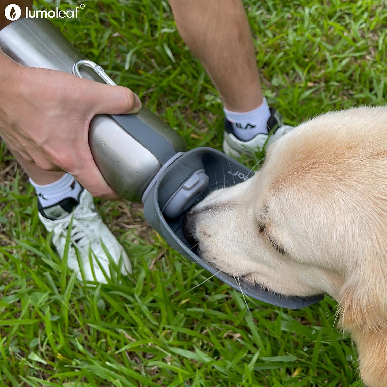 Detalle 2 de LumoLeaf Portable Dog Water Bottles 800ml
