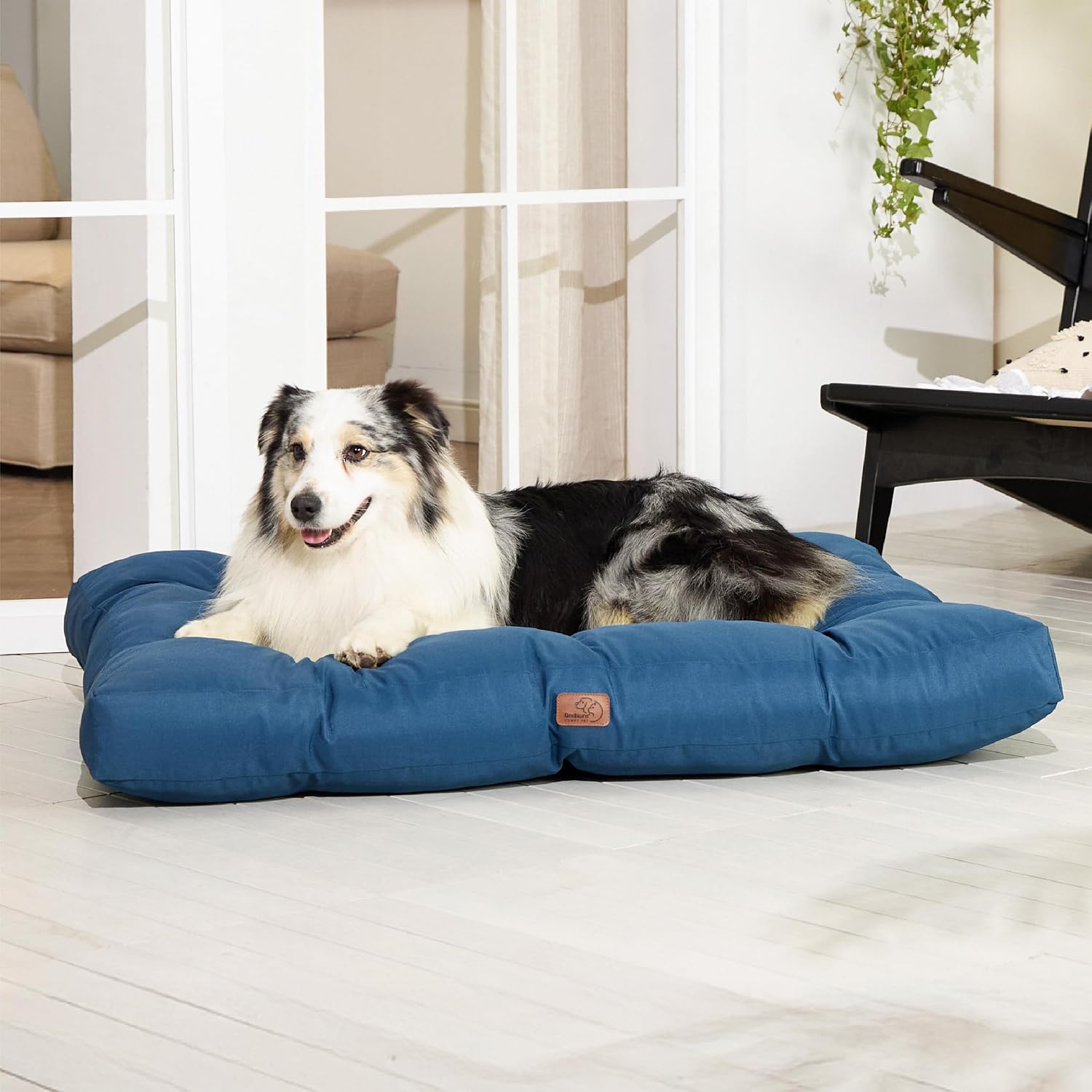 Thumbnail 6 de Bedsure Dog Bed 10cm XXL Mattress