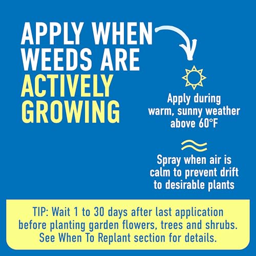 Thumbnail 5 de Roundup Weed & Grass Killer4 with Pump 'N Go 2 Sprayer, 1.33 gal