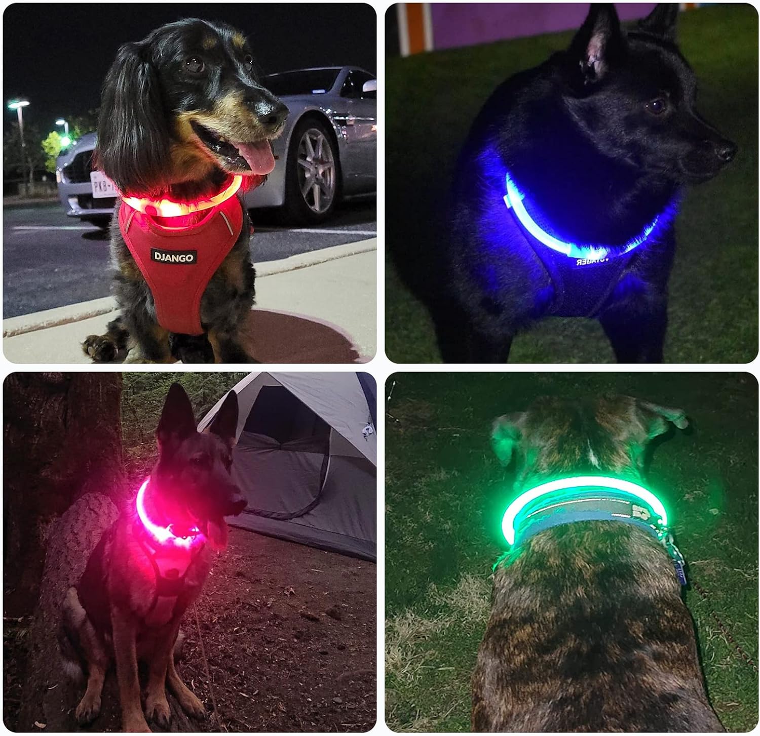Thumbnail 6 de Nephafy Collar Luminoso Perro Recargable 3 Modos 🐾