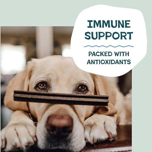 Detalle de Shameless Pets Blueberry & Mint Dental Chews for Dogs (8 Chews) – Grain-Free, Upcycled Health-Focused Dental Sticks