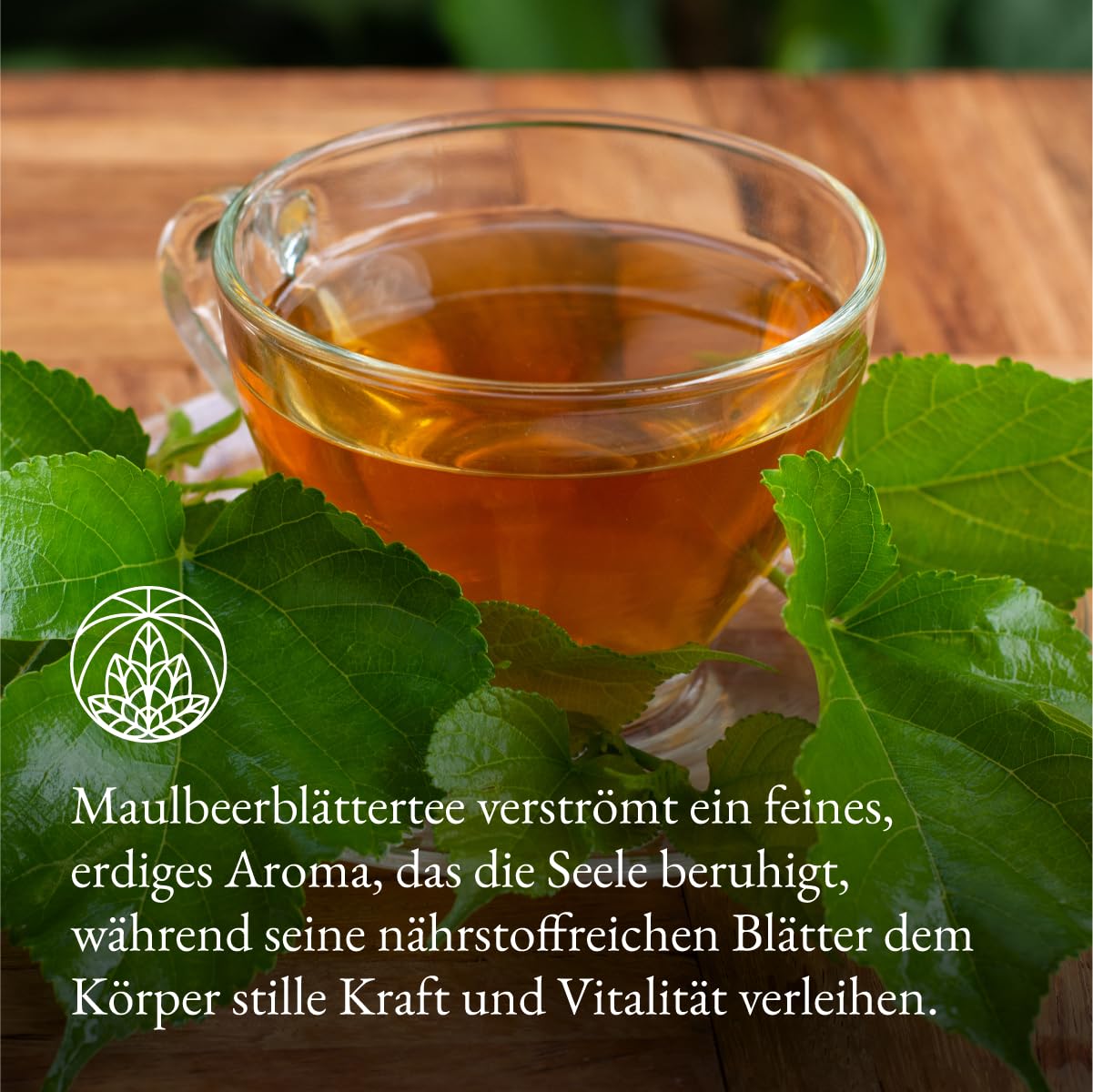 Detalle de Maulbeerblätter Tee Monte Nativo (300 g) – Reiner Kräutertee aus 100% fairem Anbau