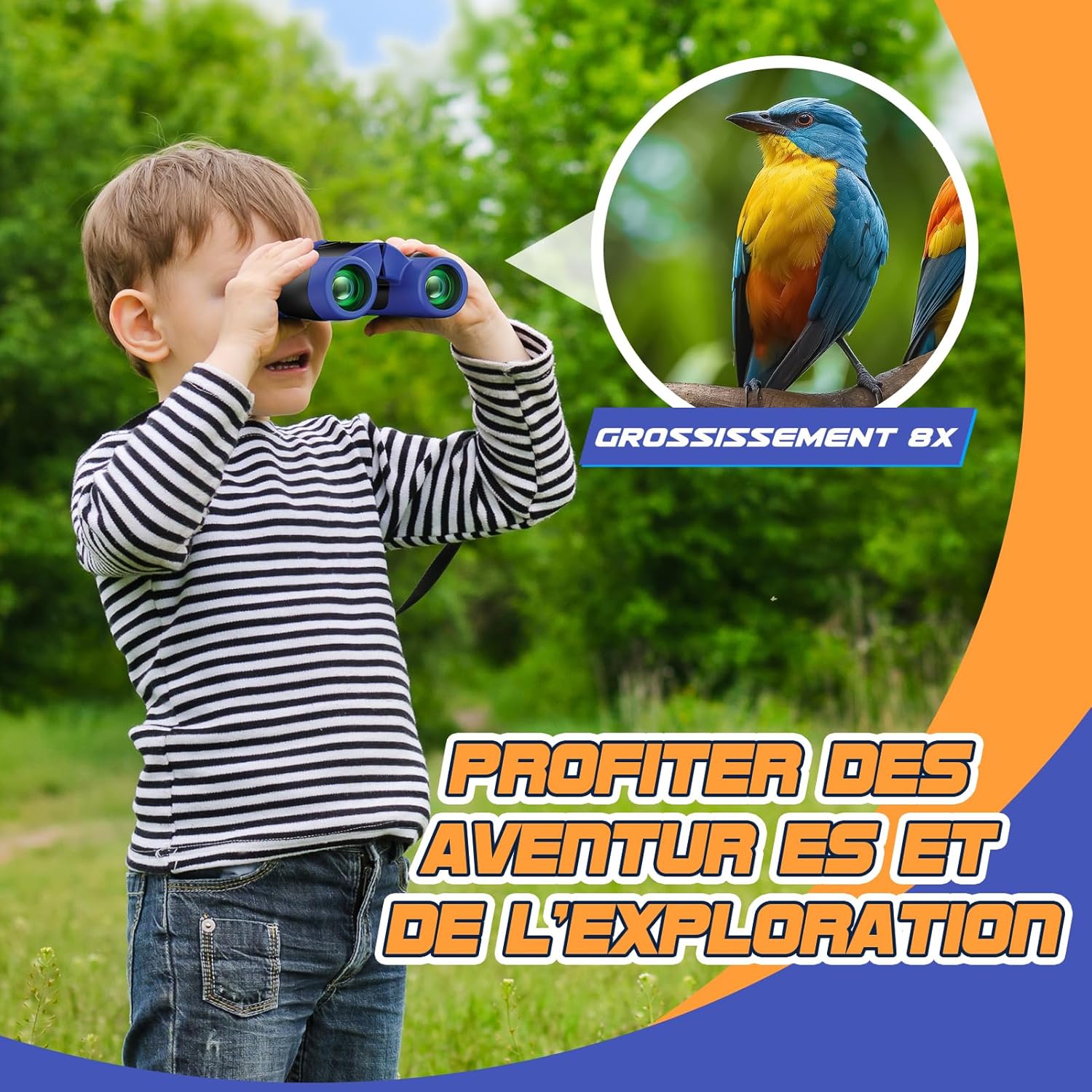 Thumbnail 1 de Anginne Jumelles pour enfants 3 à 12 ans avec guide d’oiseaux – 8x HD pour observation en extérieur