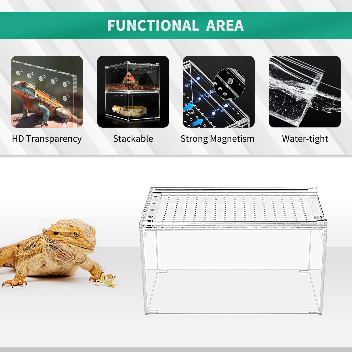 Detalle de Reptile Terrarium Kit 12x7x6 inches: Magnetic Acrylic Enclosure for Small Pets