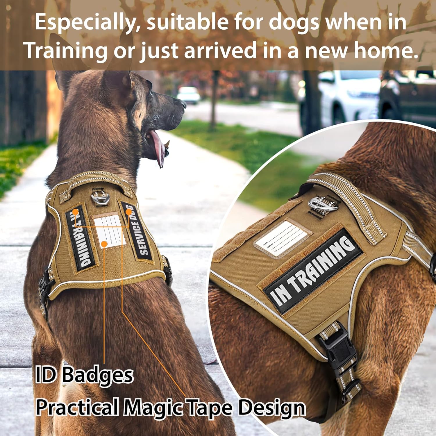 Detalle 2 de HEELE Dog Harness, Tactical Harness with Molle Panel for Small to Large Dogs (No Pull, Adjustable, Padded and Reflective) – Brown, M