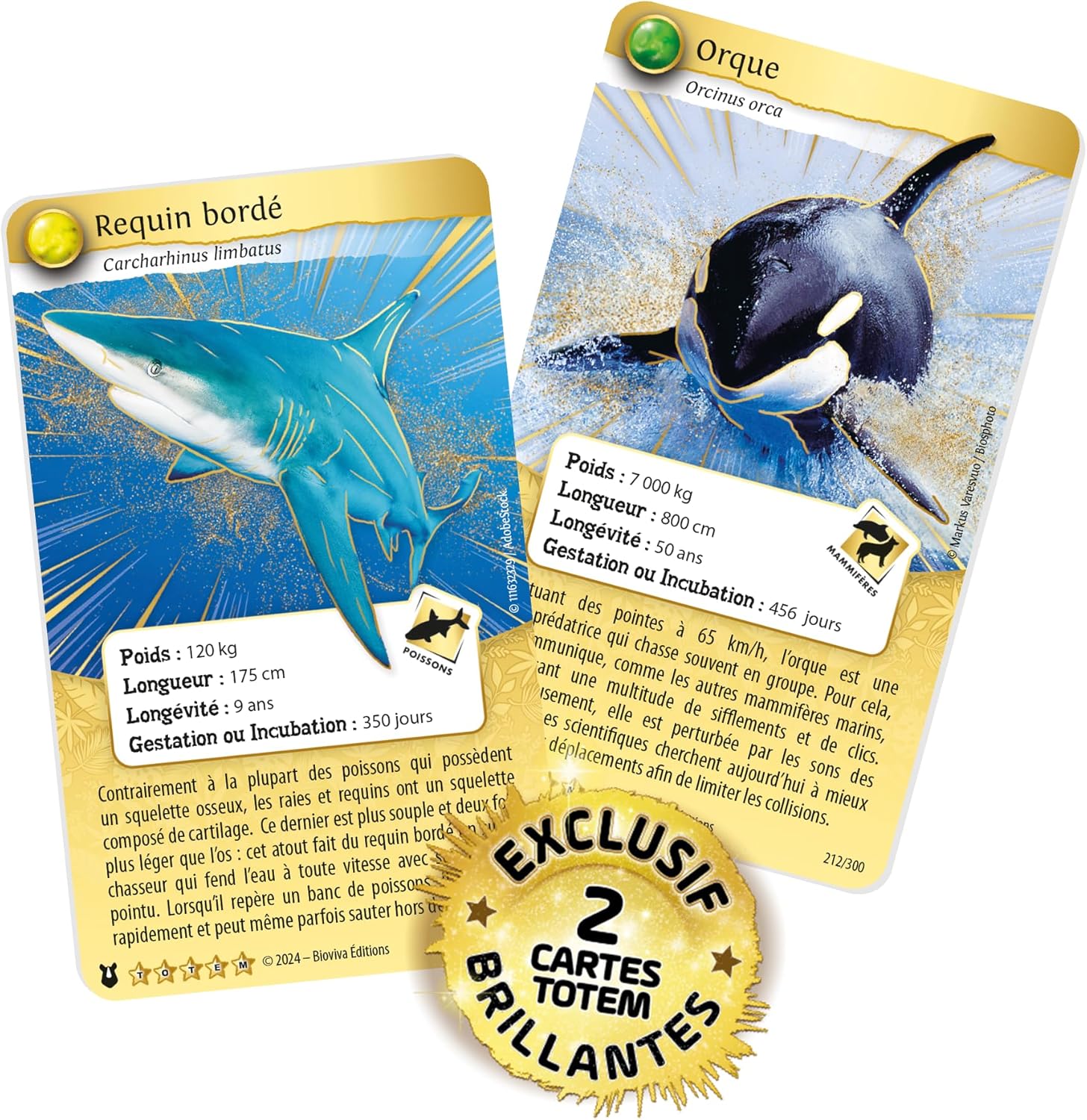 Detalle 2 de Coffret 4 BOOSTERS Orque & Requin, Bleu/Blanc – JEU ÉDUCATIF & Amusant