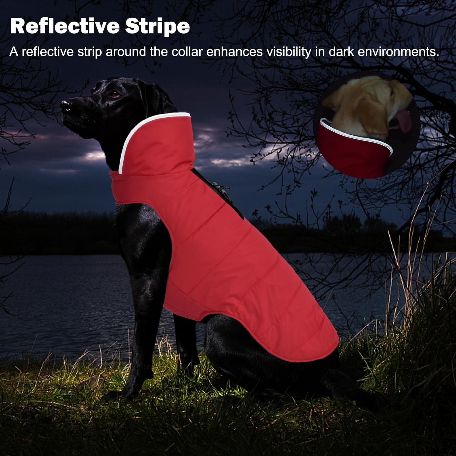 Detalle 2 de Petglad Dog Winter Coat, fleece-lined