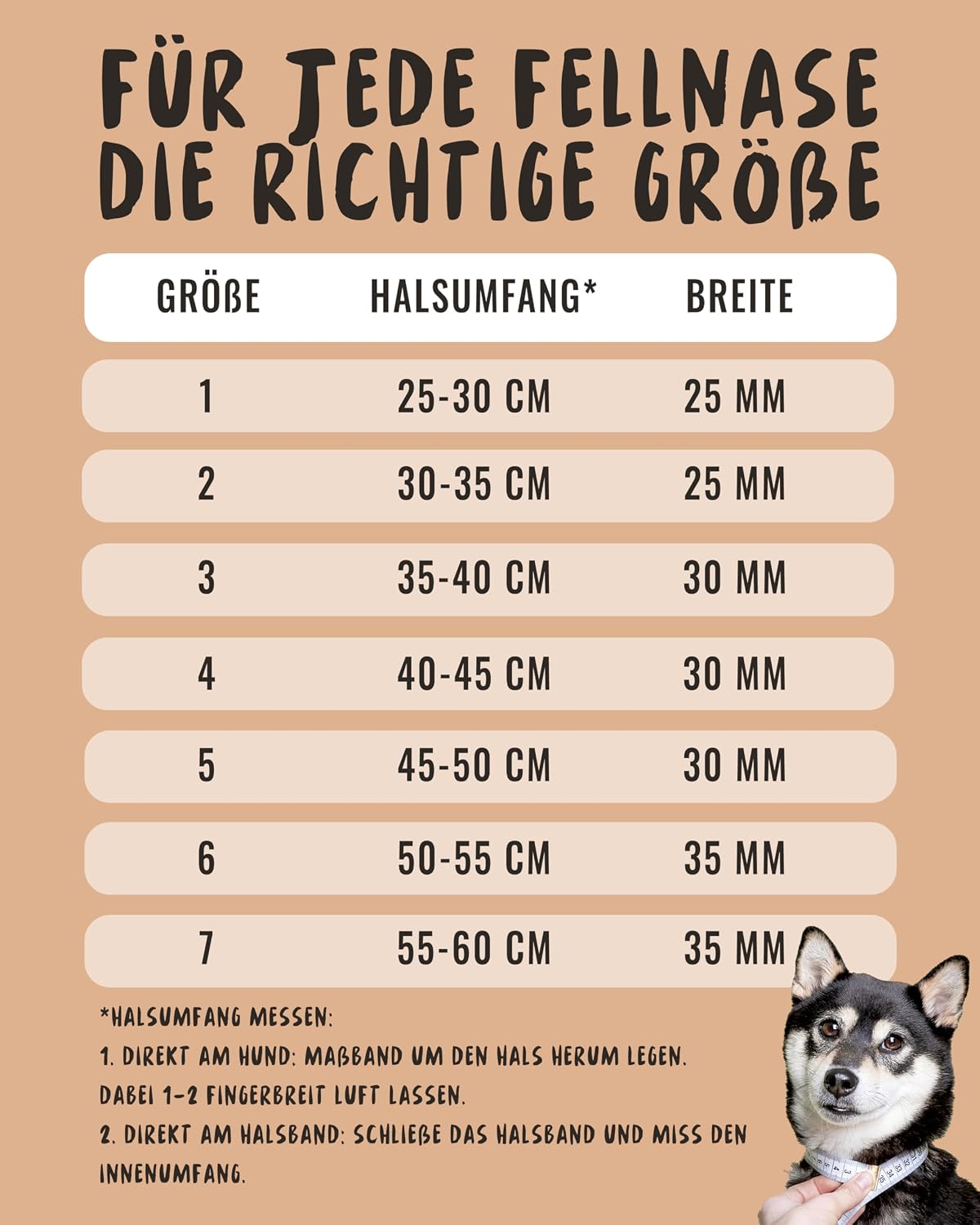 Detalle 2 de Rudelkönig Hundehalsband Bella – verstellbares Nylon-Halsband für große Hunde in Khaki