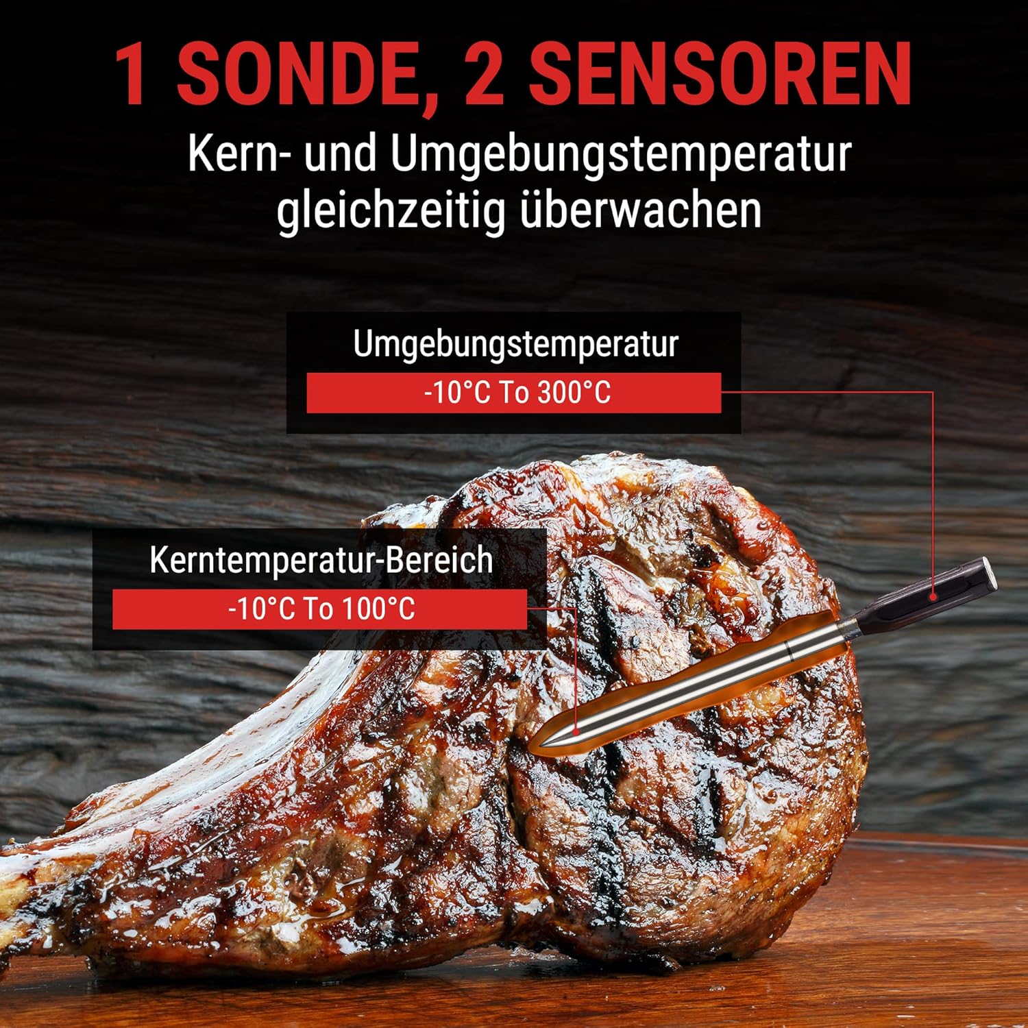 Detalle de ThermoPro TempSpike Fleischthermometer Bluetooth