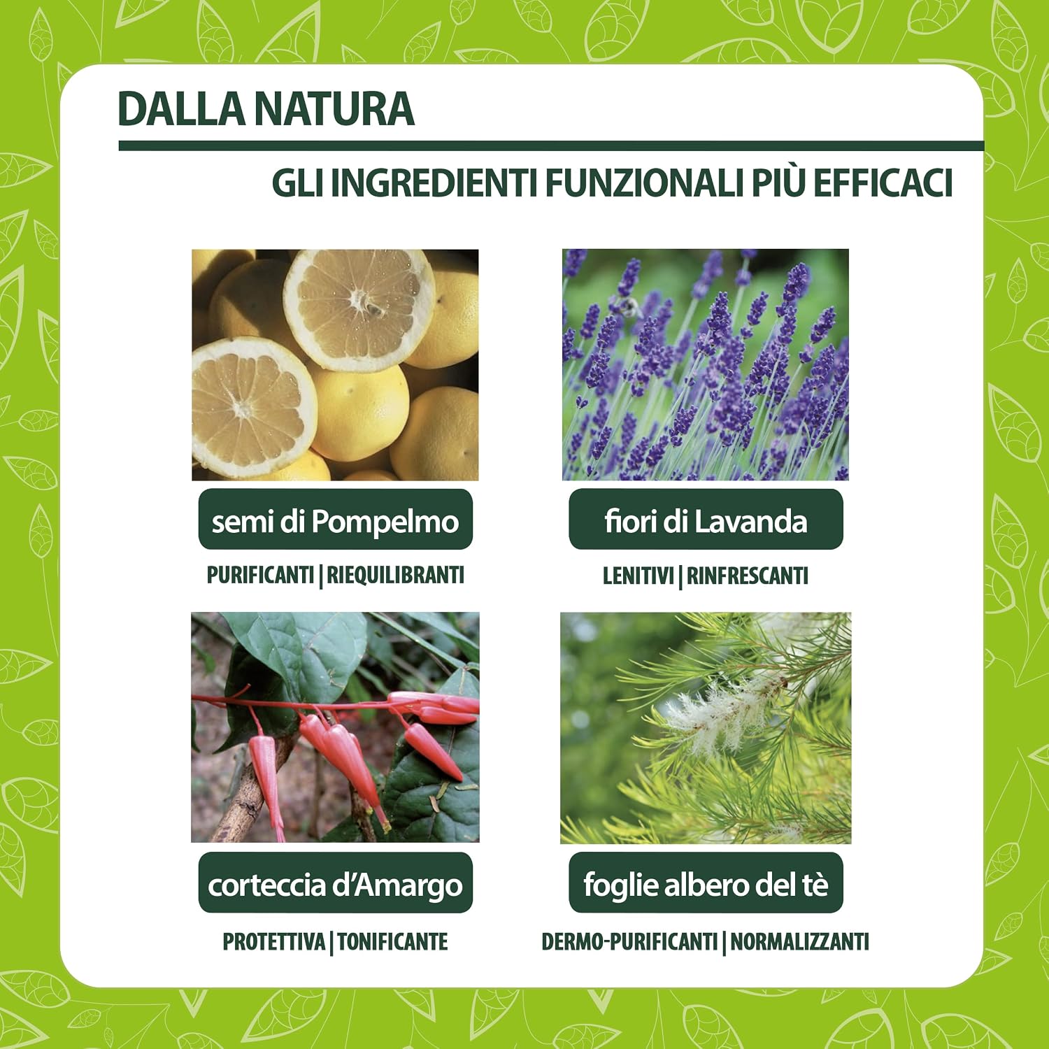 Detalle de Helan Occhio al Pidocchio Shampoo Pidocchi e Lendini Forte – trattamento per pelli sensibili, oli vegetali e lavanda, 200 ml
